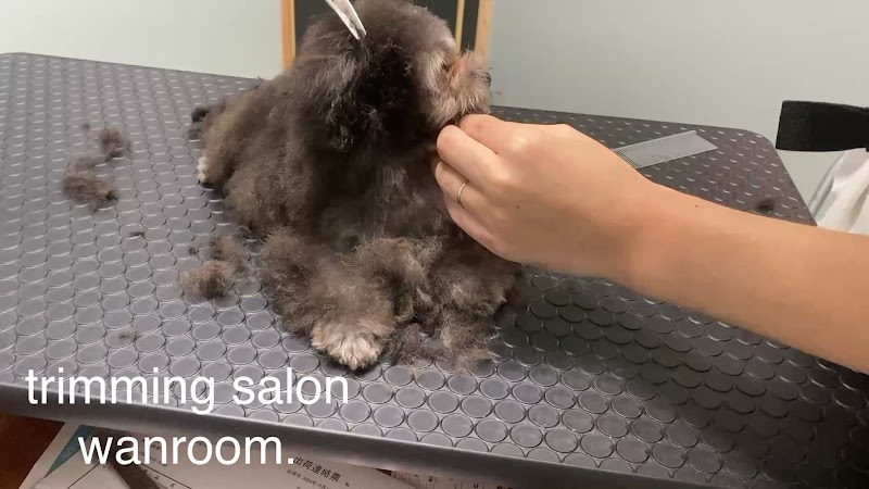 トリミングサロンワンルーム