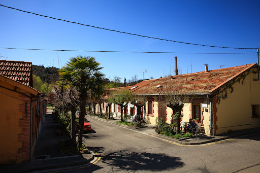 Borgonyà - Visual