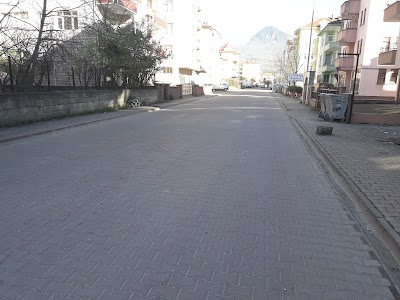 Photos of G&uuml;l Market