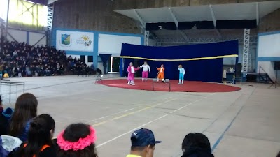 Photos of Municipal Gymnasium, Santa Maria