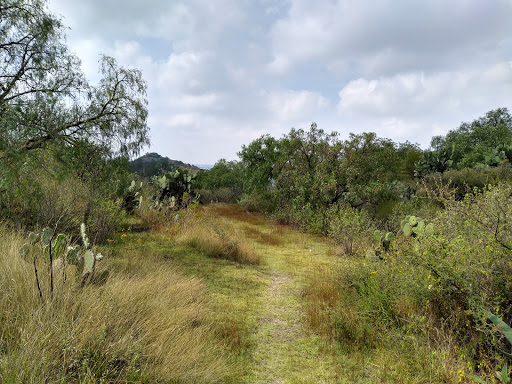 Tlaltecahuacan Park