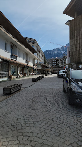 Dsv Carpets - Visual