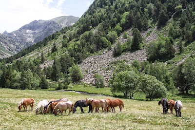 Photos of Capella de la vall d'Incles