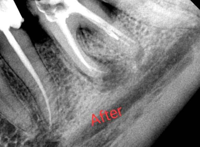 Д-р Стефан Махамид - Пловдив