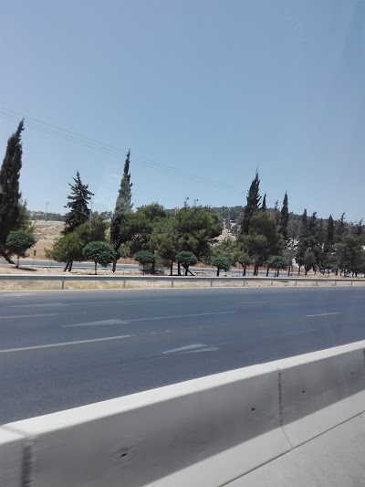 Photos of منتزه غمدان