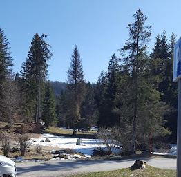 Photo n°88 de Auberge du Lac Genin à Charix (Hôtel)