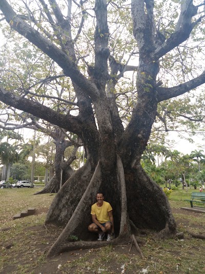 Photos of Les Salines Garden
