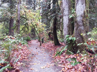 Photos of Rasar State Park