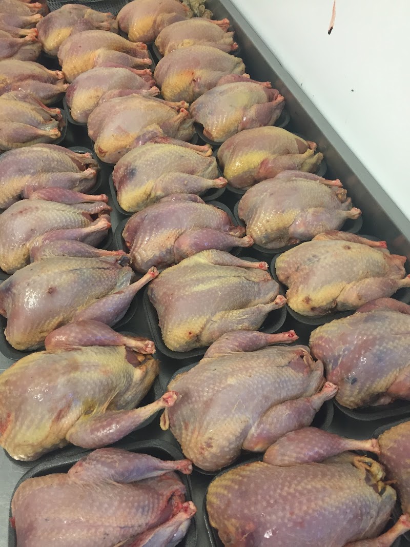 Turners Game Poultry & Meats photo 3