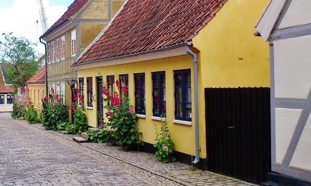 Odense