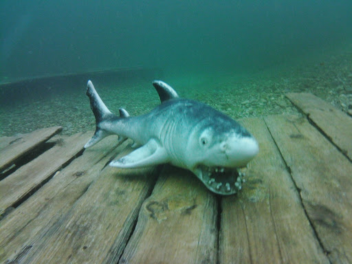 Dive Guide Patrick Schultz - Visual