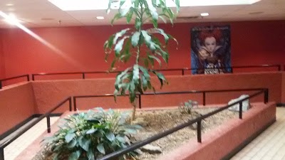 Photos of United Artists Beaucatcher Cinemas 7