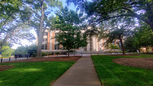 Main Library - Visual