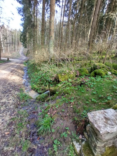 Eschental-Brunnen - Thumbnail