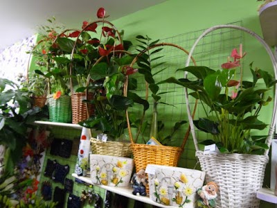 Photos of Dambo Flower & Gifts