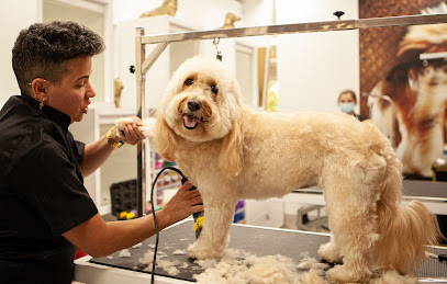 Joni Grooming Spa & Boutique