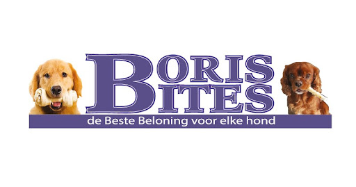 Borisbites B.V. - Thumbnail