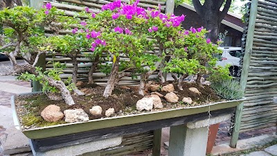 Photos of Hoed en Berg Guest House