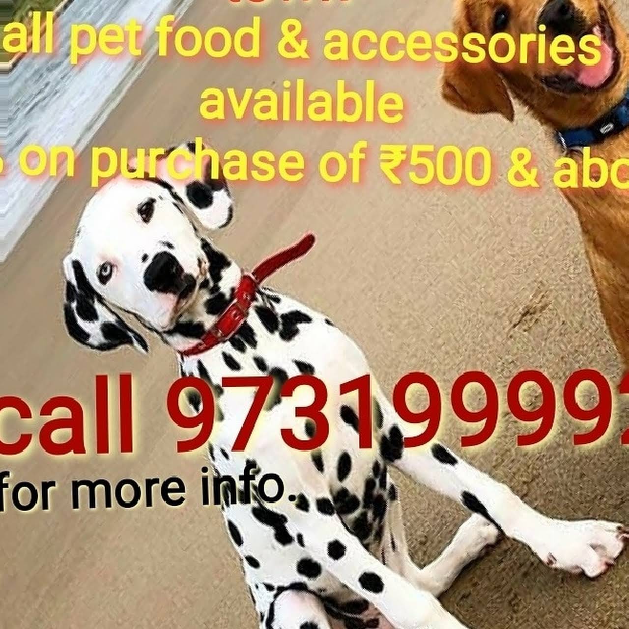Puppy Palz The Pet Store Pet Food And Accessories Supply Store In Bengaluru