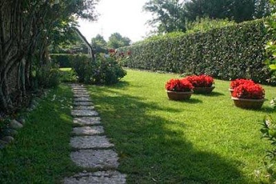 Photos of B&B Horse's House
