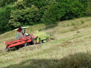 Photo n°3 de GAEC Ferme des Cathelins à Montgilbert (Ferme à visiter)