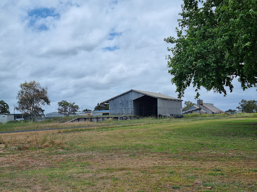 Penola