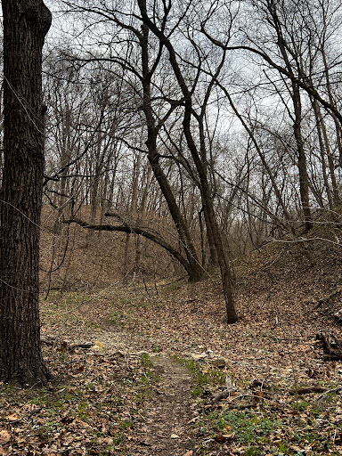 Bluffwoods Conservation Area