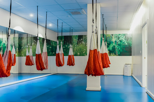 Soma Fisioterapia y Salud Activa