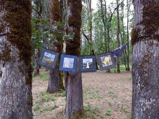 GnomeWood Campground - Visual