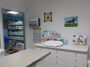 Photo n°3 de Sabbagh Bejaoui Selima à Senonches (Vétérinaire)