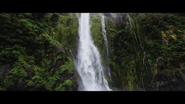 Reviews of Wild Kiwi Adventure Tours in Auckland - Travel Agency