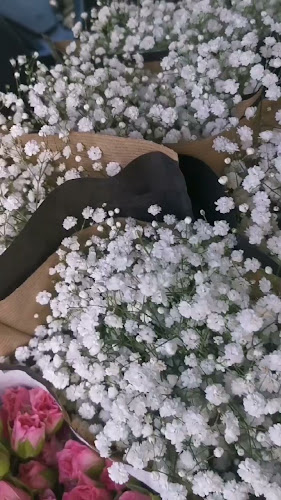 Meadowlands Floral Design Phone number