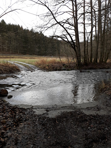 Negertal Nature Reserve - Thumbnail