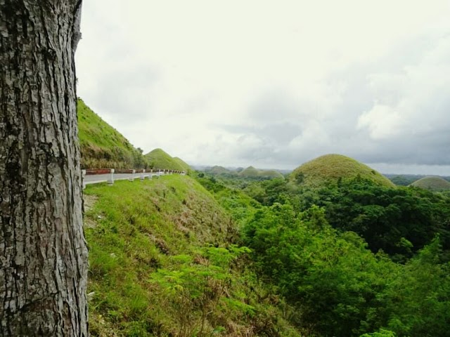 Chocolate Hills- Bohol