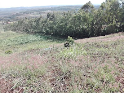 Photos of Kibiko primary school
