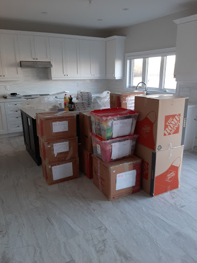 TL Moving - Visual