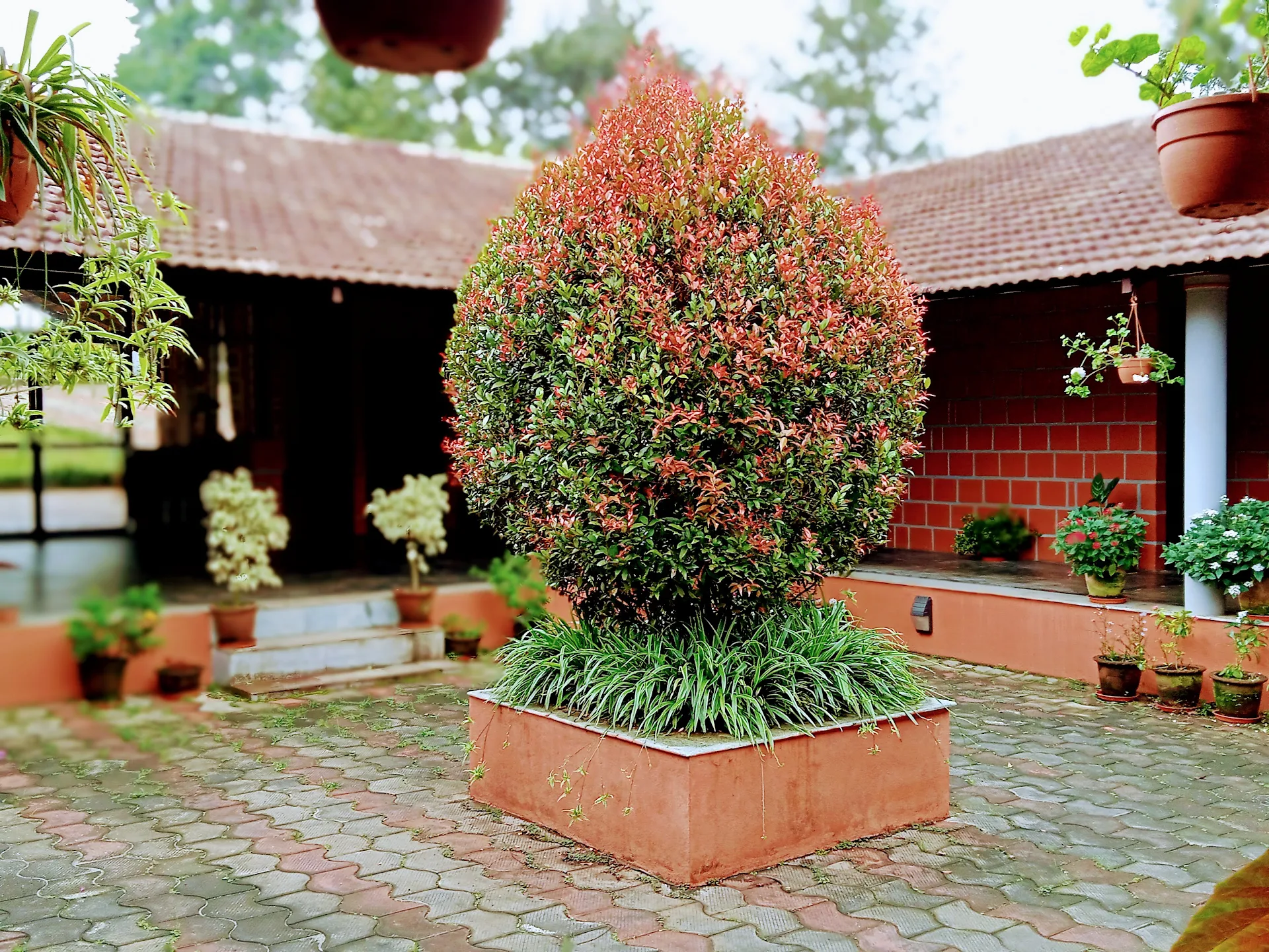 Eco Valley Retreat Sakleshpur