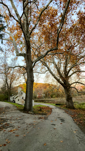 Yellow Springs Trail Parking Lot - Thumbnail