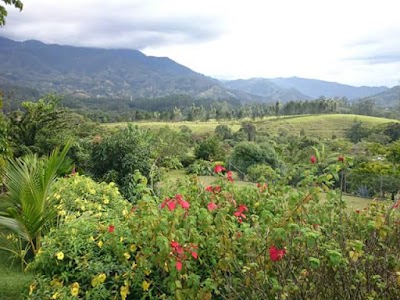 Photos of Universidad del Cauca