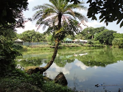 Photos of Shorkar Bari