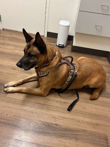 North Airline Animal Hospital Gallery - United States