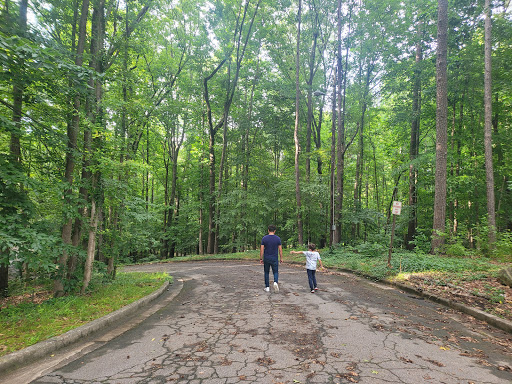 Sykes Park - Thumbnail