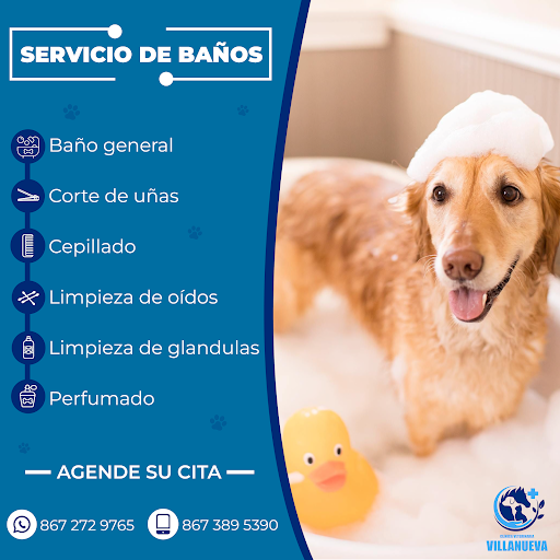 Clínica Veterinaria Villanueva