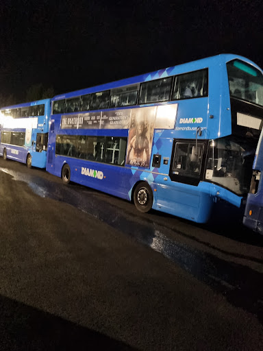 Diamond Bus - Visual