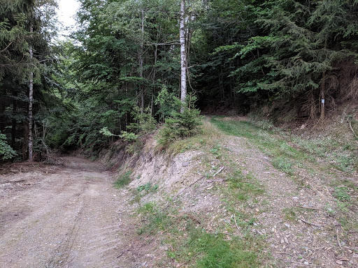 Superintendentensteig - Thumbnail
