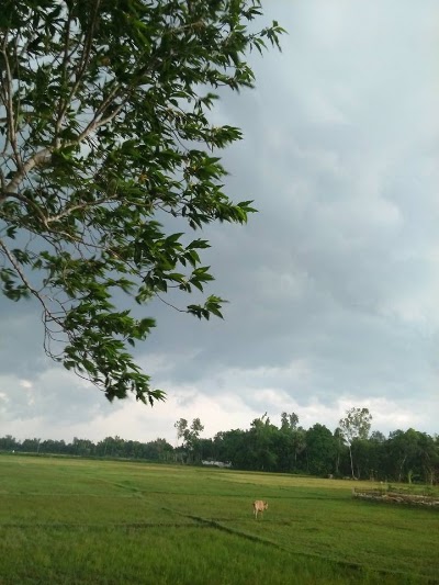 Photos of চম্পাতলী,শাহনগর