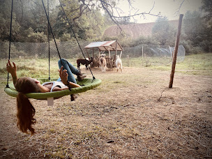 Photo n°17 de Les minis du Chalet à Sanry-lès-Vigy (Association agricole)