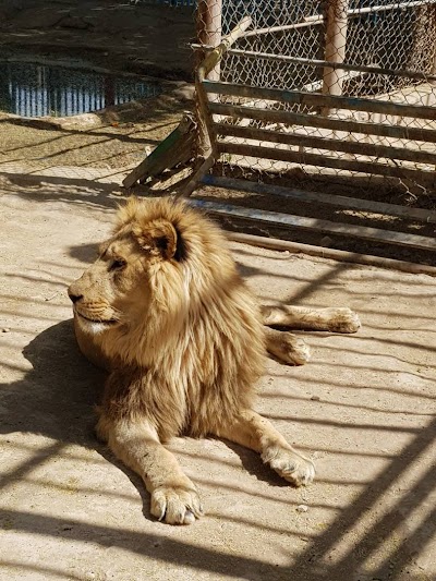 Photos of باغ وحش - حديقة الحيوانات
