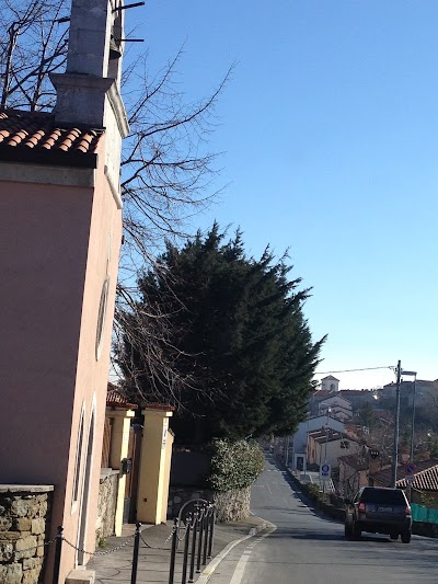 Photos of AMBULATORIO VETERINARIO SAINT MARTIN