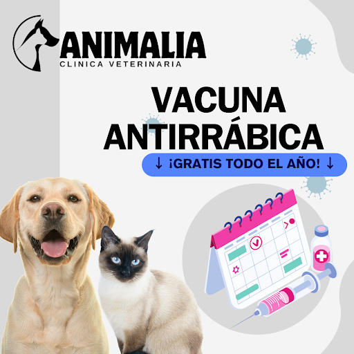 Clínica Veterinaria ANIMALIA
